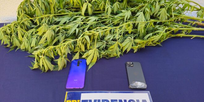 b2872c7e-2435-45df-acb9-2819d99d696d-660x330